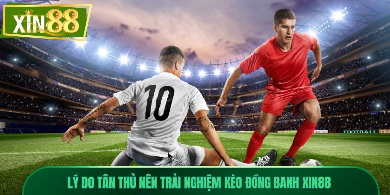 Kèo Đồng Banh Xin88 - Hướng Dẫn Đọc Chuẩn Từng Trận 3 Lý do tân thủ nên trải nghiệm kèo đồng banh Xin88