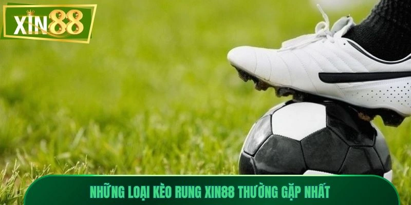 Kèo Rung Xin88 - Bắt Nhịp Trận Đấu Theo Từng Khoảnh Khắc 2 Những loại kèo rung Xin88 thường gặp nhất