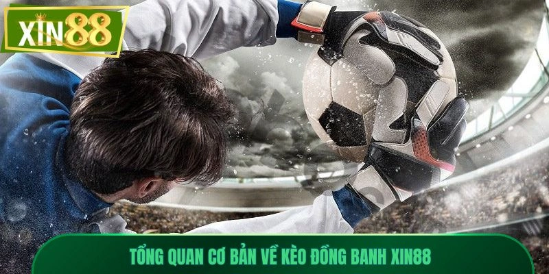 Kèo Đồng Banh Xin88 - Hướng Dẫn Đọc Chuẩn Từng Trận 1 Tổng quan cơ bản về kèo đồng banh Xin88